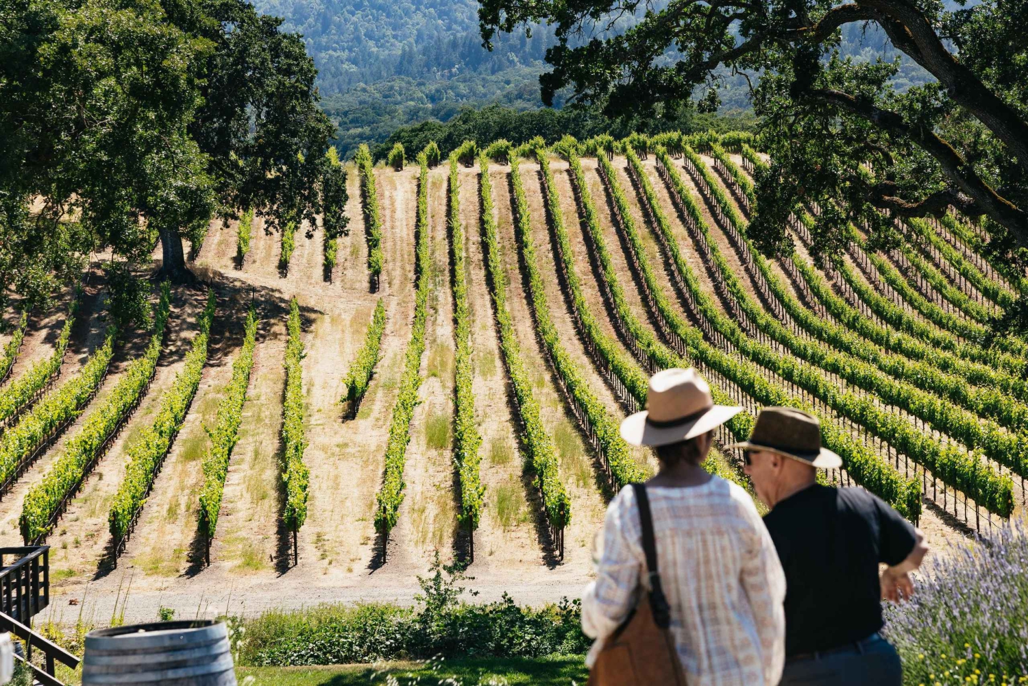 San Francisco: Napa and Sonoma Valley Wine Tour