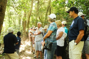 San Salvador: Visita guiada a volcanes, lagos y yacimientos mayas