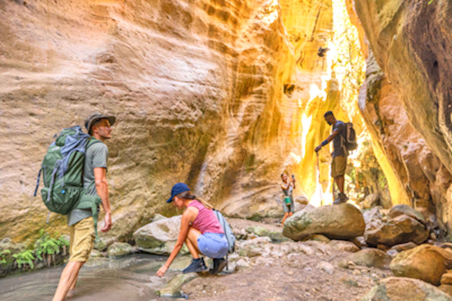 Avakas Gorge & Lara Beach Swim: Minibus Adventure from Pafos