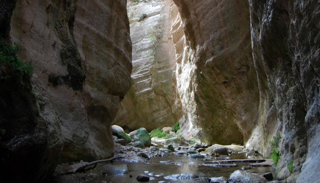 Avakas Gorge