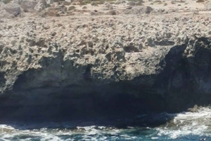 Ayia Napa: Crociera Blue Lagoon & Tartarughe con pranzo opzionale