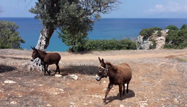 Kypros EcoTour Seikkailut