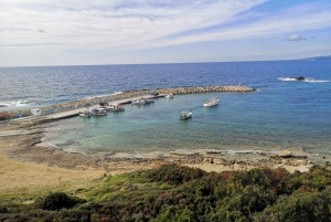 Paphos, Blaue Lagune, Latchi, Tagestour, Reisebus, Boot + Wasserrutsche.