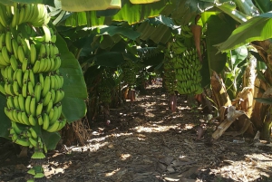 Paphos, Blaue Lagune, Latchi, Tagestour, Reisebus, Boot + Wasserrutsche.