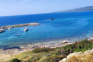 Paphos, Blaue Lagune, Latchi, Tagestour, Reisebus, Boot + Wasserrutsche.