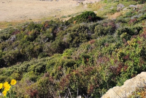 Paphos, Blaue Lagune, Latchi, Tagestour, Reisebus, Boot + Wasserrutsche.