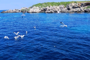 Paphos, Blaue Lagune, Latchi, Tagestour, Reisebus, Boot + Wasserrutsche.