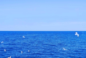 Paphos, Blaue Lagune, Latchi, Tagestour, Reisebus, Boot + Wasserrutsche.