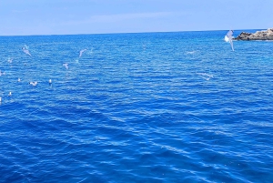 Paphos, Blaue Lagune, Latchi, Tagestour, Reisebus, Boot + Wasserrutsche.