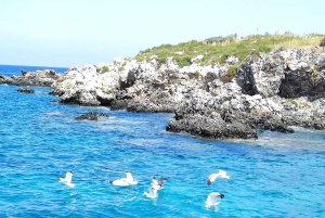 Paphos, Blaue Lagune, Latchi, Tagestour, Reisebus, Boot + Wasserrutsche.