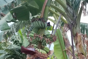 Paphos, Blaue Lagune, Latchi, Tagestour, Reisebus, Boot + Wasserrutsche.