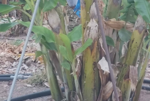 Paphos, Blaue Lagune, Latchi, Tagestour, Reisebus, Boot + Wasserrutsche.