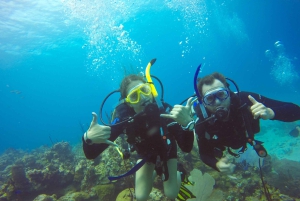 Første dykkeroplevelse i Punta Cana