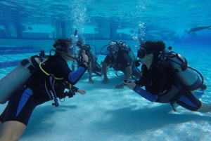Første dykkeroplevelse i Punta Cana