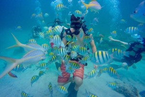 Første dykkeroplevelse i Punta Cana