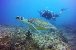 Første dykkeroplevelse i Punta Cana