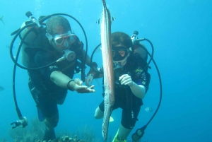 Første dykkeroplevelse i Punta Cana