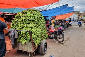 De Puerto Plata Priv : Cacao, café, cigares et marché local