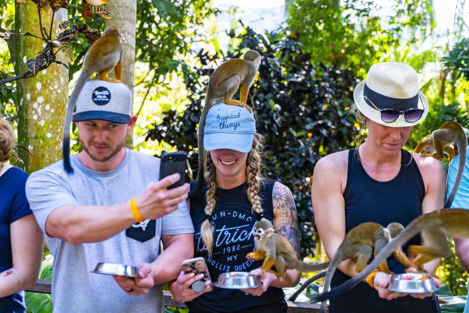 De Punta Cana: Jungle Buggy Ride e Monkeyland Tour Guiado