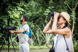 La Romana: Observação de pássaros na Casa de Campo