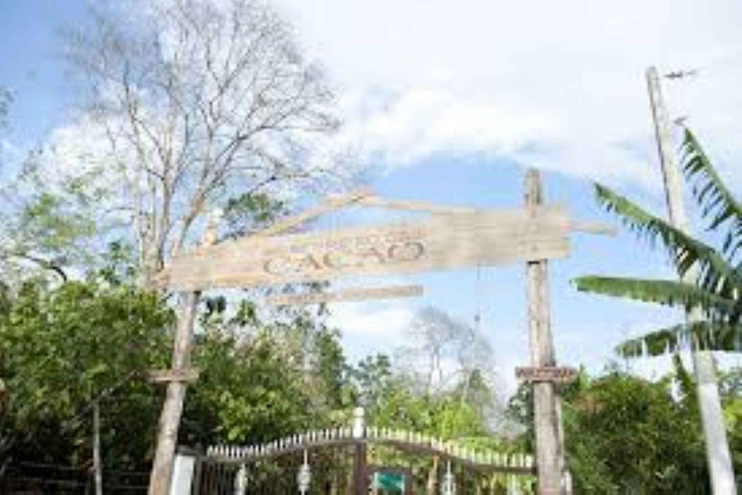 Private: Cacao Plantation Tour with Lunch & Tasting