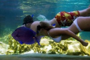 Puerto Plata: Ocean World Adventure Park Day Pass