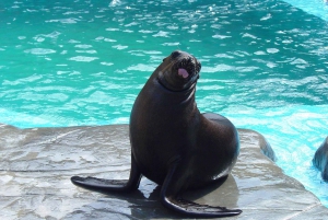 Puerto Plata: Ocean World Adventure Park Day Pass