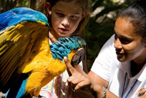 Puerto Plata: Ocean World Adventure Park Day Pass