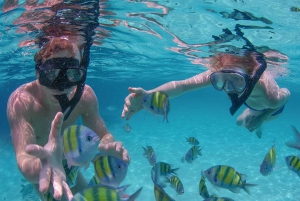 プンタカナ・カタマラン・パーティーボート（大人限定）