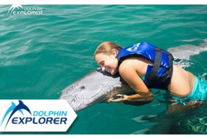 Punta Cana: Dolphin Park Entry and Swim with Dolphins