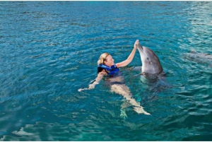 Punta Cana: Dolphin Park Entry and Swim with Dolphins