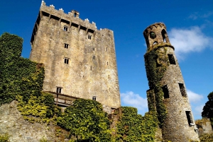 Excursão de 1 dia ao Castelo de Blarney a partir de Dublin