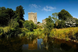 Blarney Castle Full-Day Tour from Dublin