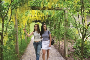 Blarney Castle Full-Day Tour from Dublin