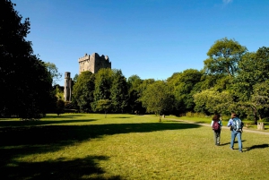 Blarney Castle Full-Day Tour from Dublin