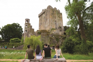 Blarney Castle Full-Day Tour from Dublin