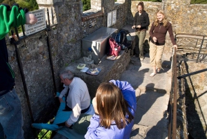 Blarney Castle Full-Day Tour from Dublin
