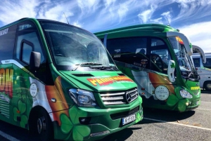 Blarney Castle Full-Day Tour from Dublin