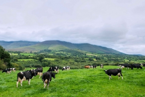 Cliffs of Moher and Blarney 2-Day Tour from Dublin