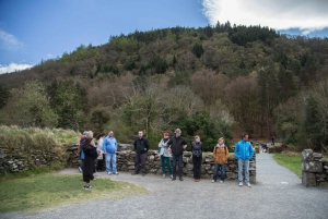 Day Tour of Wicklow Mountains National Park from Dublin