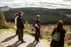 Day Tour of Wicklow Mountains National Park from Dublin