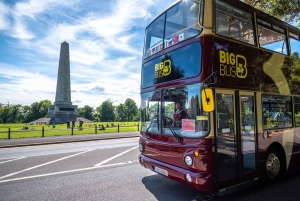 Dublin: Big Bus Hop-On Hop-Off Tour with Live Guide