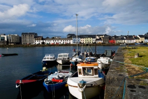 Dublin: Cliffs of Moher, Atlantic Edge & Galway City
