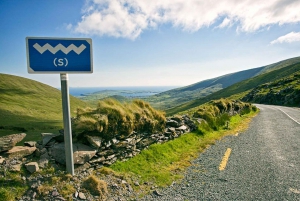 Dublin: Cliffs of Moher, Kilmacduagh Abbey & Galway Day Tour