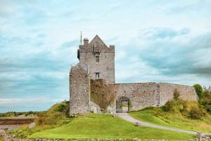 Dublin: Cliffs of Moher, Kilmacduagh Abbey & Galway Day Tour