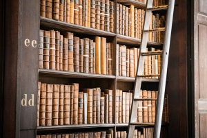 Dublin: Fast-Track Book of Kells Ticket & Dublin Castle Tour