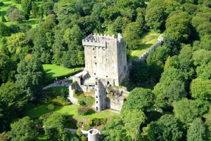 Dublin: Full-Day Tour to Cork, Cobh and Blarney Castle