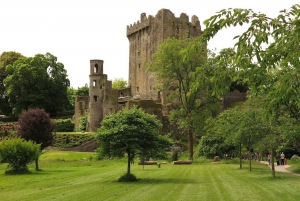 Dublin: Full-Day Tour to Cork, Cobh and Blarney Castle