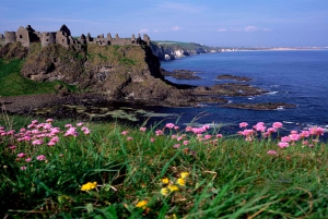 Dublin: Giant's Causeway & Belfast (Titanic or Black Taxi)