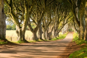 Dublin: Giants Causeway, Dark Hedges, Dunluce & Belfast Tour